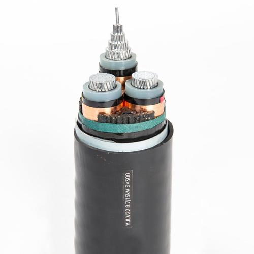 Medium Voltage Power Cable (6–35kV) — IEC 60502-2 XLPE Insulated Single-Core and Three-Core Armoured Power Cable for Primary Distribution Networks, Substation Feeders, and Industrial MV Power Supply